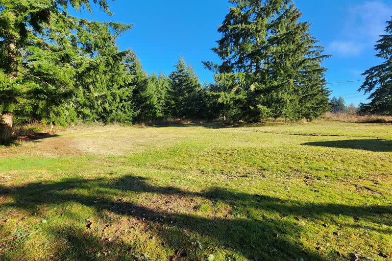 Chehalis Country Home real estate photography &mdash; Open acreage, Chehalis, WA